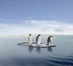 Penguins Cast Adrift